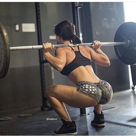 Taylor Vertucci Profile pic