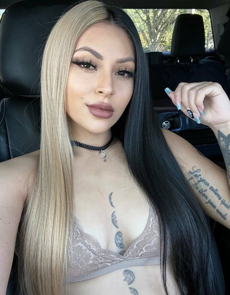 Vipress perfect star pic