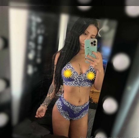 Vipress best model img