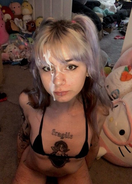 Beanie Baby hd star pic