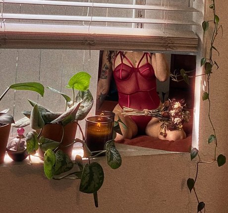 shaitanx high quality star picture