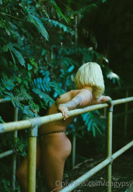 Kaylee Gypsy erotic star img