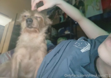 Sora Shiina hd model pic