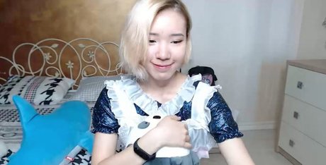 Pancakee best model photo