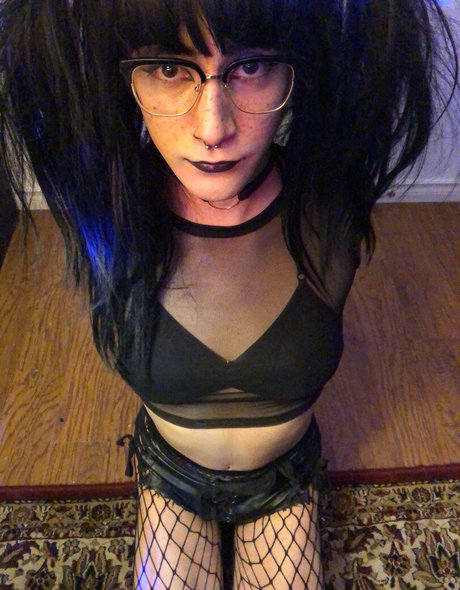 tinytraplexi star art photos