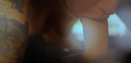 Echo Voxx star adult archive