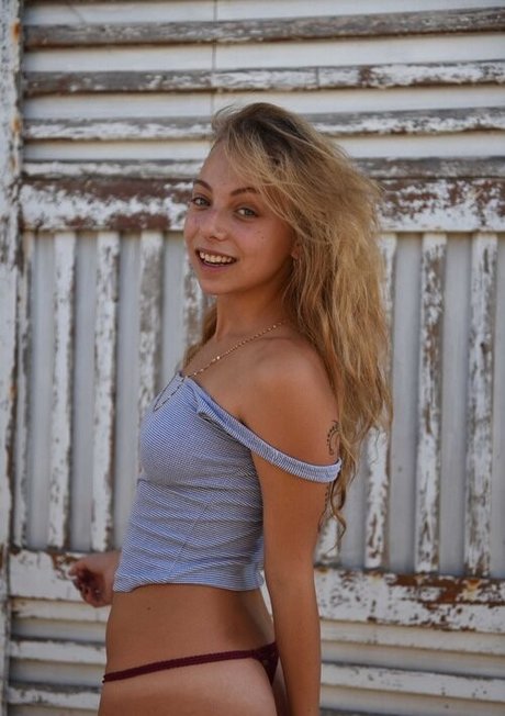 Tohar Fried star hot img