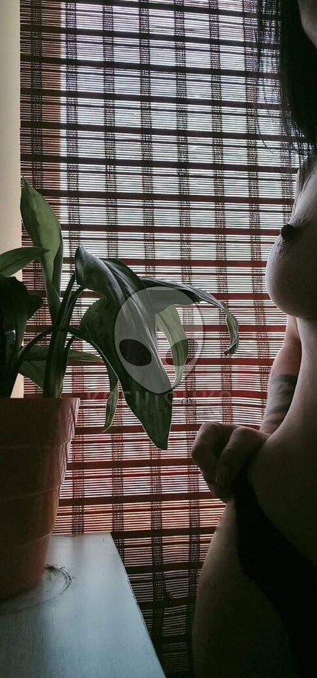 kthegray star hd gallery