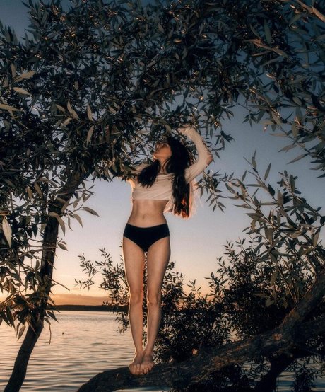 Tovpinets3 adult actress galleries