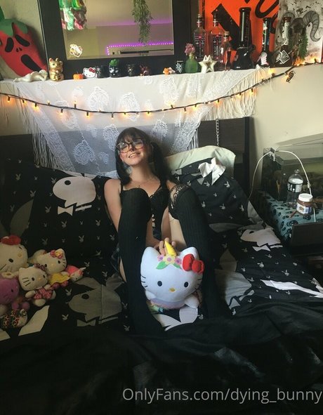 Dying bunny star art archive