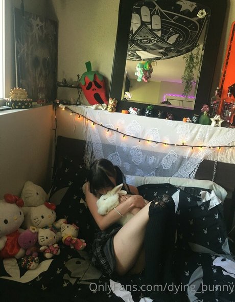 Dying bunny pornographic actress img