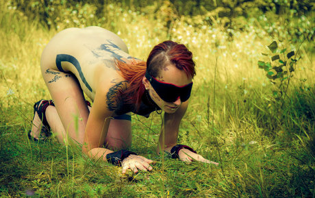 Jokers Harley Quinn star beautiful archive