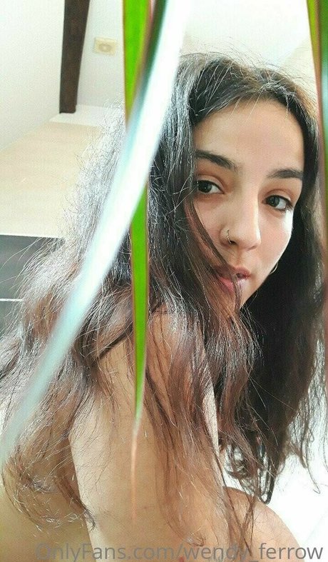 wendy ferrow nice star archive