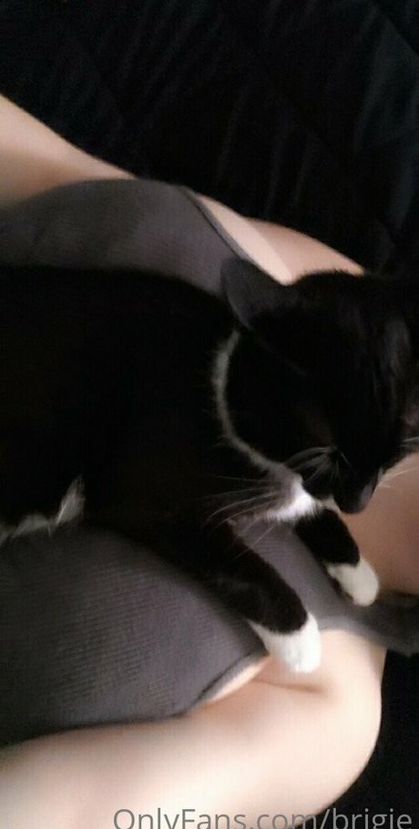 Brigitaitken top actress photo