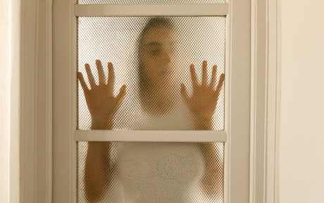 Auromineo star high quality pictures