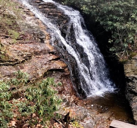 Elsalmorton model nice gallery