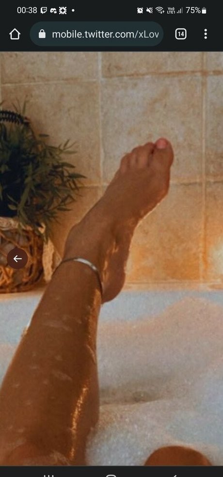 Xlovelypop free pornstar pictures