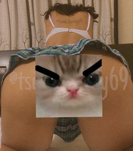 Tsumi69 nice model archive