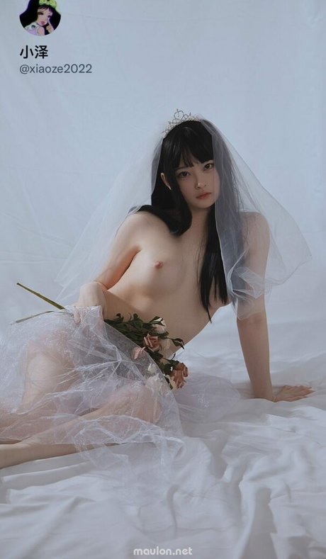 Xiaoze2022 star images