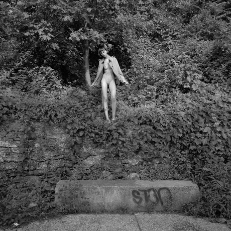 Kara Neko star art archive