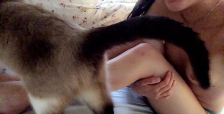 Ashley Bednarek model nice galleries