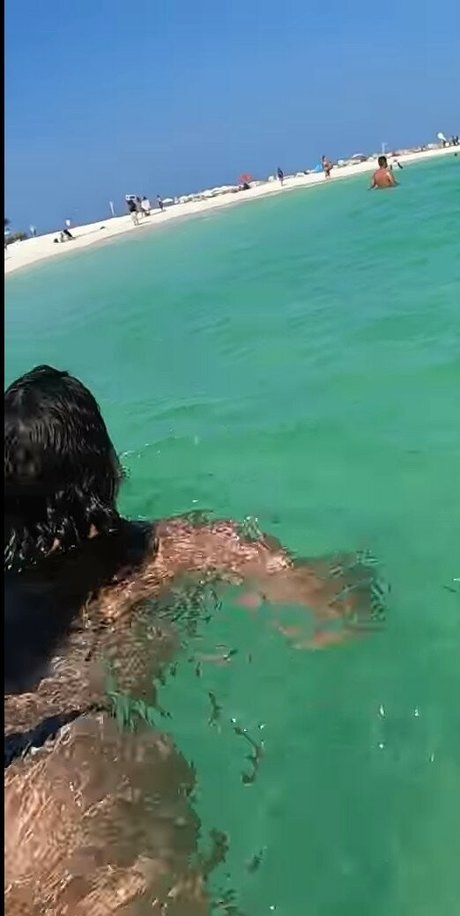 Mundo Sem Fim perfect star img