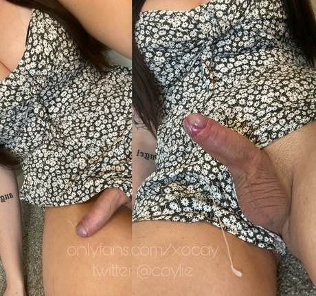 caylie pornographic star photo