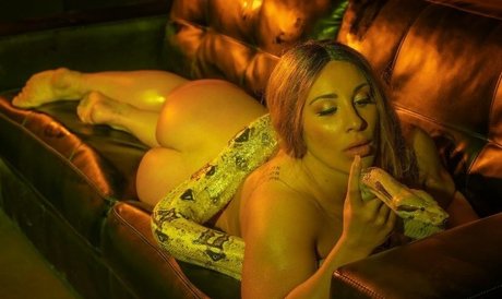 Chloe Sannito star nudes image