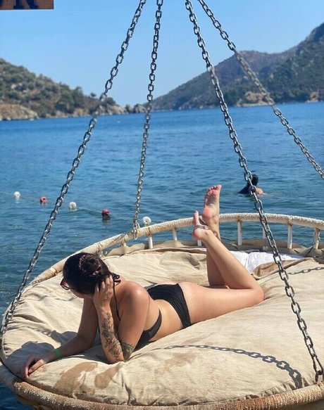 palmoliff star nice picture