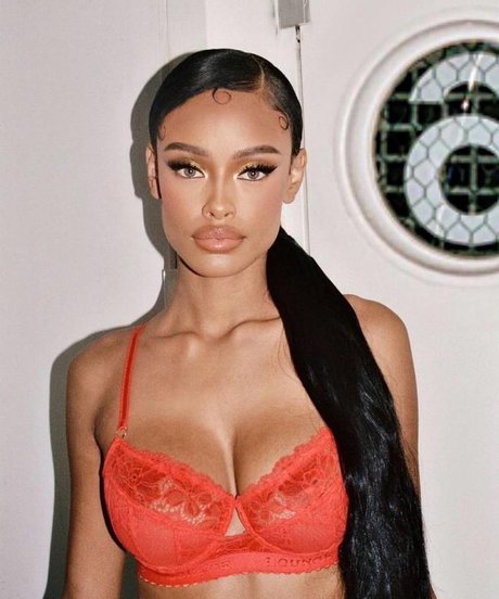 Vinetria star free gallery