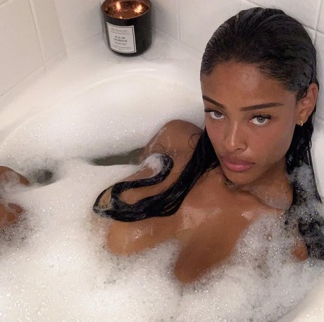 Vinetria high quality star gallery