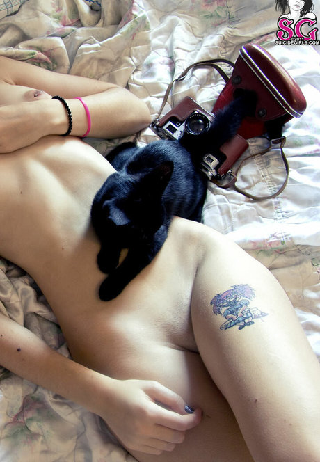 Plum sg star hot image