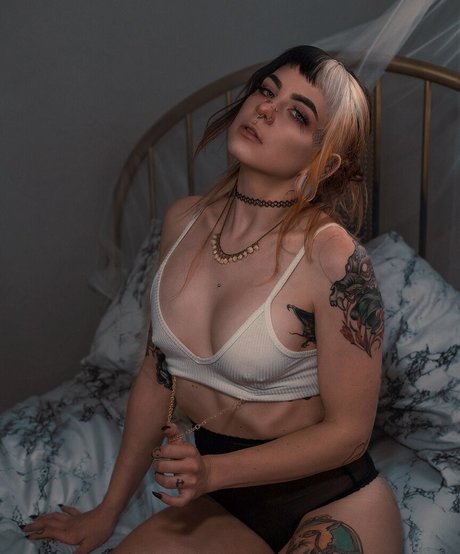 Ashesbardole xxx pornstar galleries