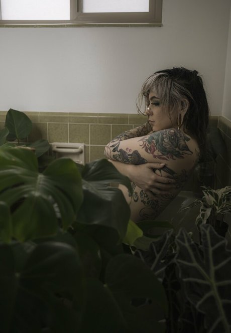 Ashesbardole pornstar exclusive archive