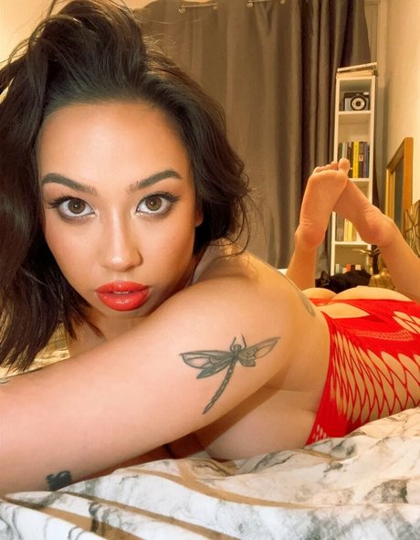 DakotaXrated top actress galleries