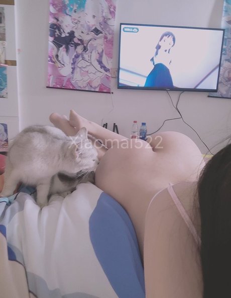 Xiaomai522 nude star photo