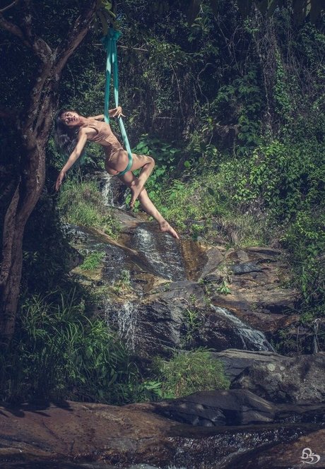 Joeykim exclusive pornstar archive