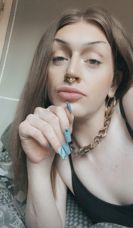 Tscaulayx star art gallery