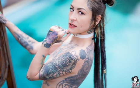 Kasha Lee pornstar nude galleries