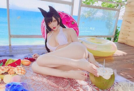 cheesewii model top image