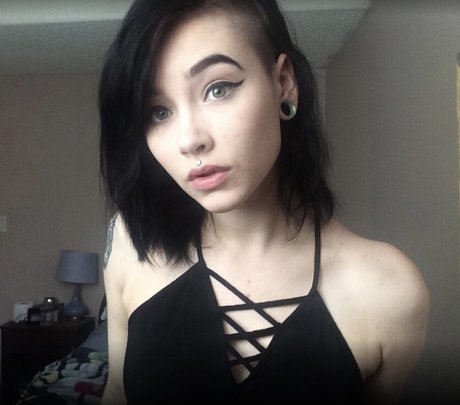 PaytonWolfe best star gallery