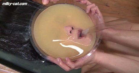 milky cat pornstar top photo