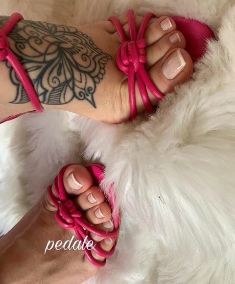 Pedaale top star picture