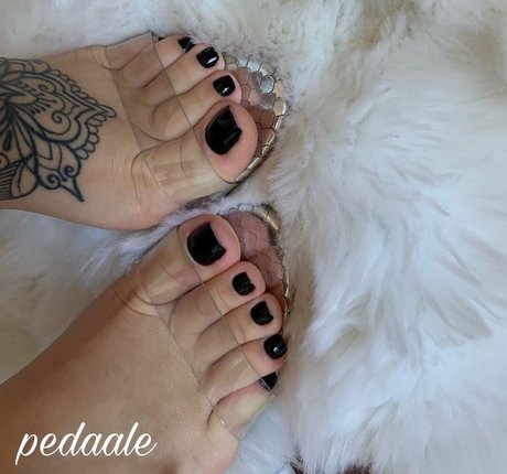 Pedaale model top pics