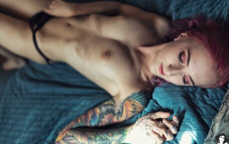 Kelloggsbombs nice star gallery