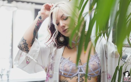 Circa sg art pornstar img