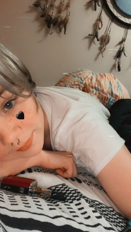 ibbybunny star gallery