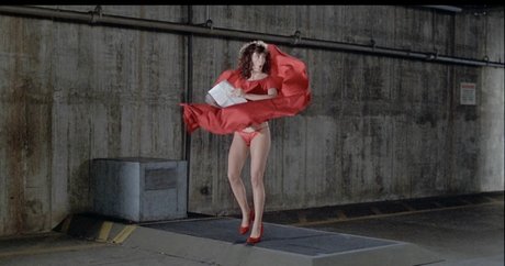 Kelly LeBrock model nudes photo