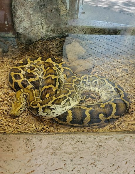 geekikitten exclusive star images