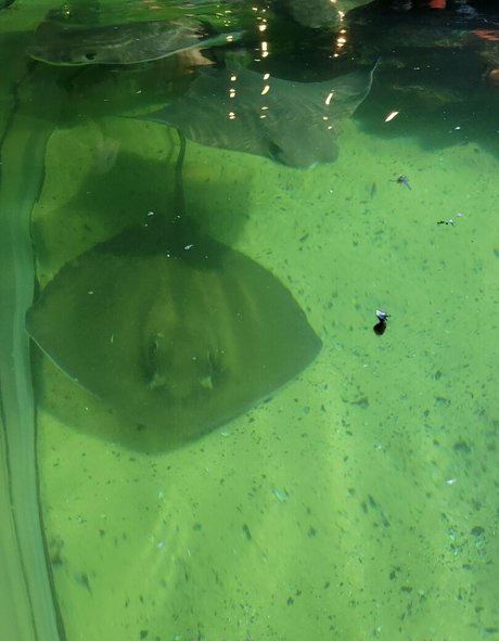 geekikitten pornstar perfect picture